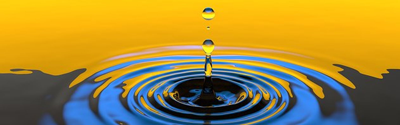 diesel bug a layman’s guide Magazine