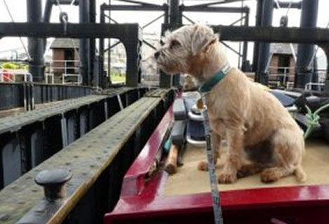 Ernie taking in the sights on the Anderton Boat Lift