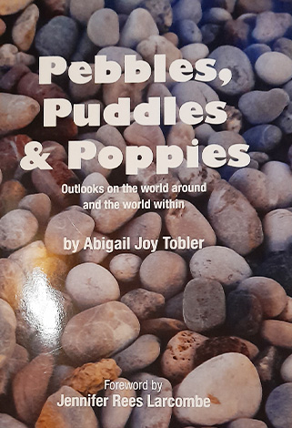 pebbles, puddles and poppies