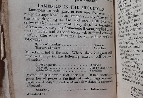 treatmments for lameness in shoulders in horses