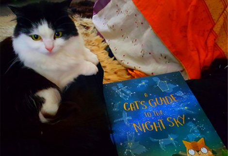 Cat Peggy alongside 'A Cat's Guide to the Night Sky'
