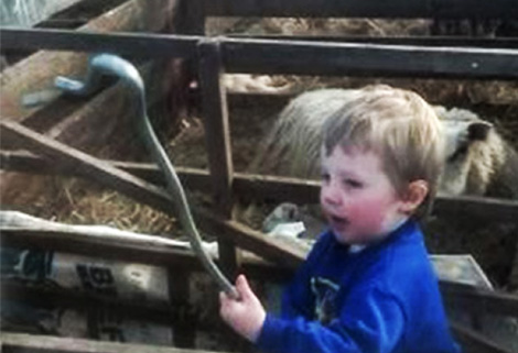 little boy with sheep and crook