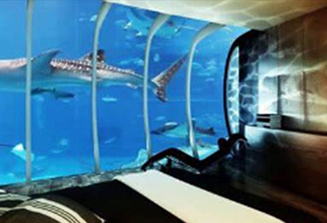 Water Discus Hotel, Dubai - underwater suite