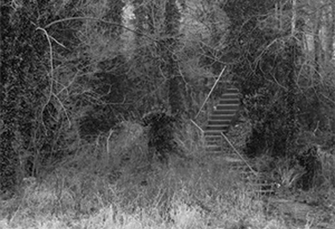 the bloody steps near Rugeley