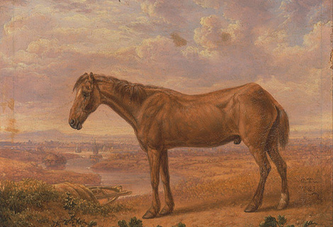 Towne painting of Old Billy the horse