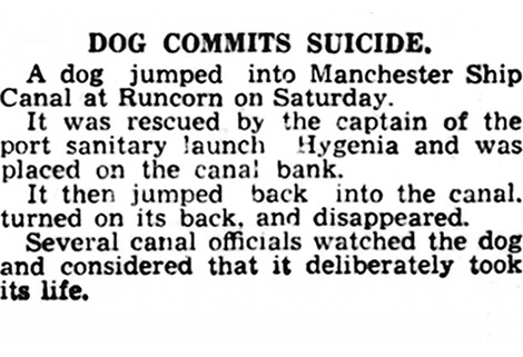 newspaper report of dog committing suicide