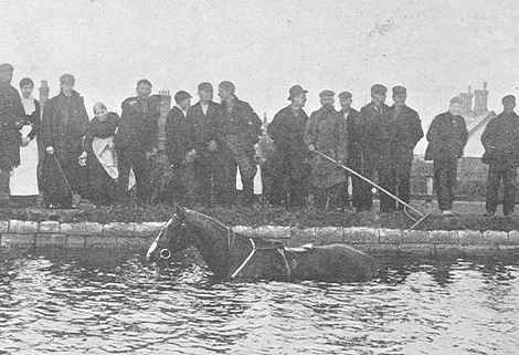 Laplander being rescued from canal