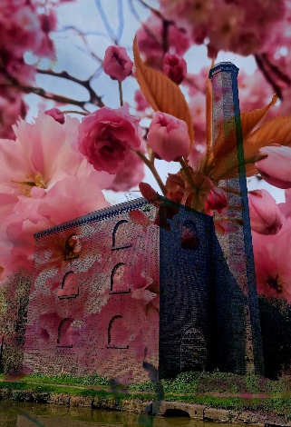 Engine House and Blossoms, Hawkesbury Junction, Coventry Canal–Double Exposure photography by Dawn S Art