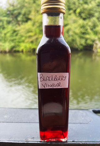 homemade blackberry vinegar