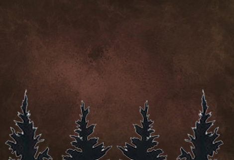 pine trees ahead! pine trees