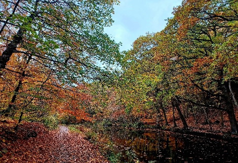 Elland, Calder & Hebble Navigation