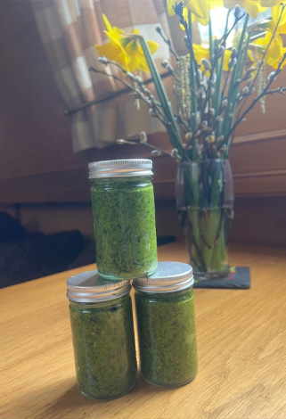 wild garlic pesto